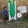 Pumpkin Patch Richardsons in Dunnville
